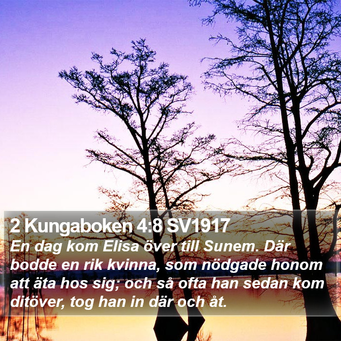 2 Kungaboken 4:8 SV1917 Bible Study