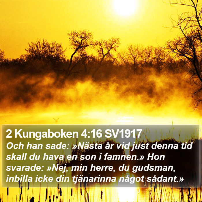 2 Kungaboken 4:16 SV1917 Bible Study