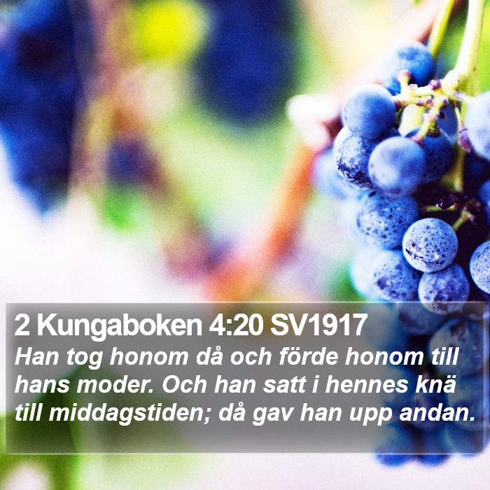 2 Kungaboken 4:20 SV1917 Bible Study