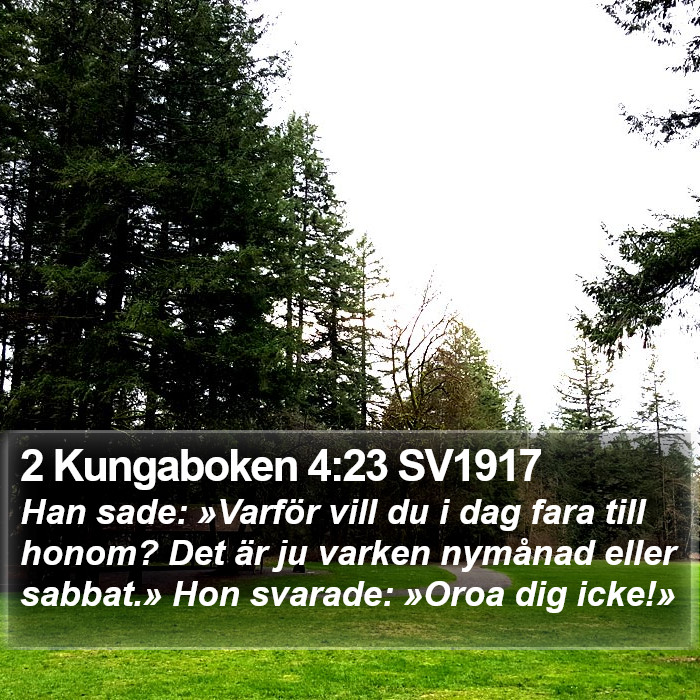 2 Kungaboken 4:23 SV1917 Bible Study