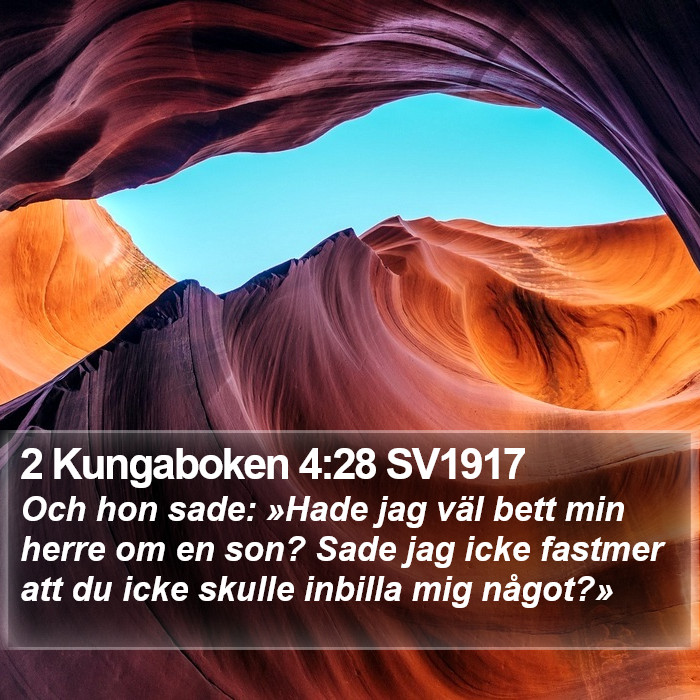 2 Kungaboken 4:28 SV1917 Bible Study