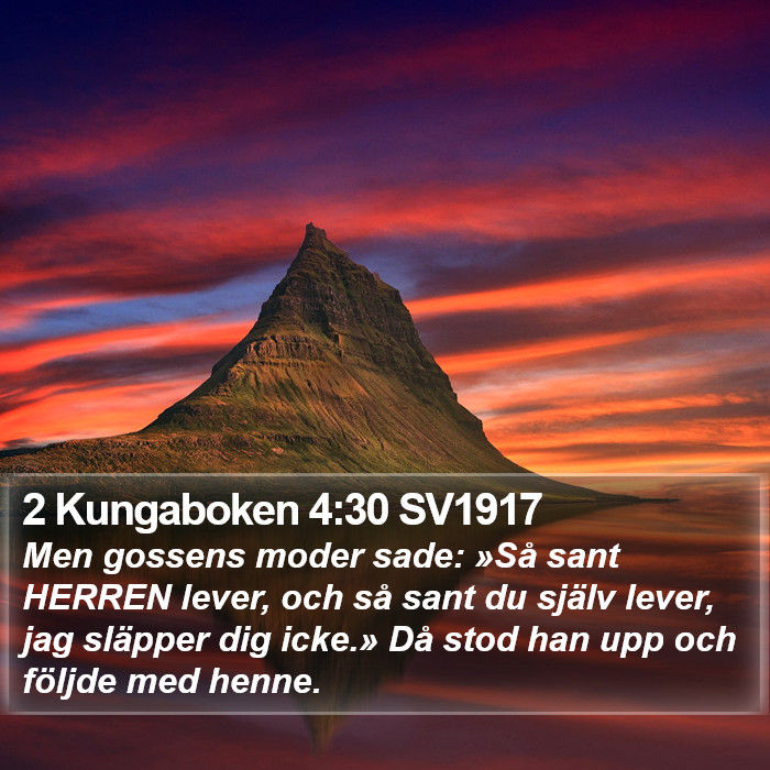 2 Kungaboken 4:30 SV1917 Bible Study