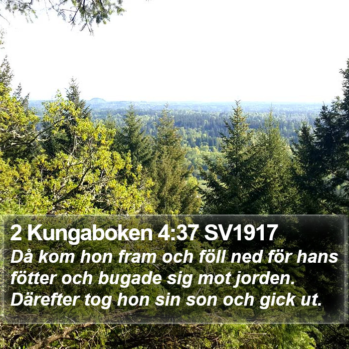 2 Kungaboken 4:37 SV1917 Bible Study