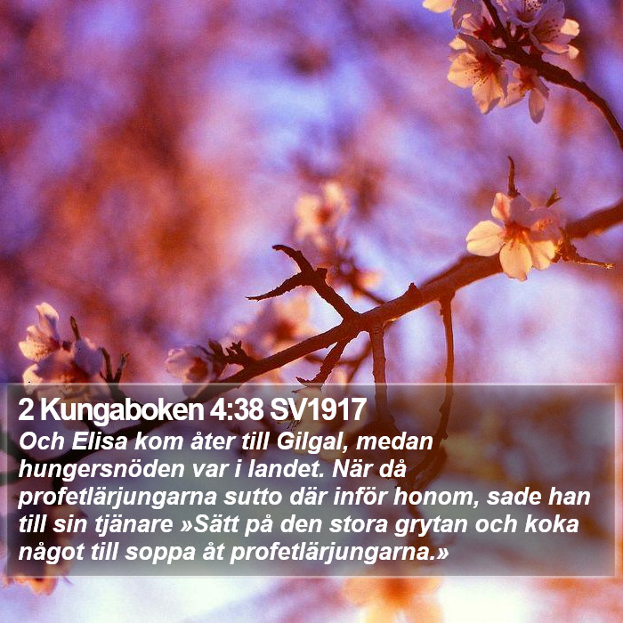 2 Kungaboken 4:38 SV1917 Bible Study