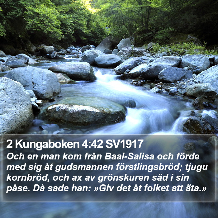 2 Kungaboken 4:42 SV1917 Bible Study