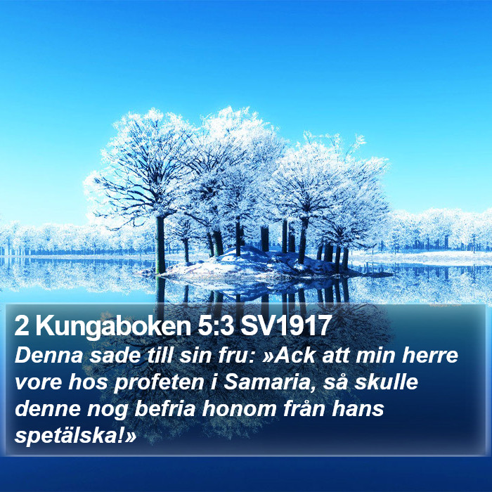 2 Kungaboken 5:3 SV1917 Bible Study