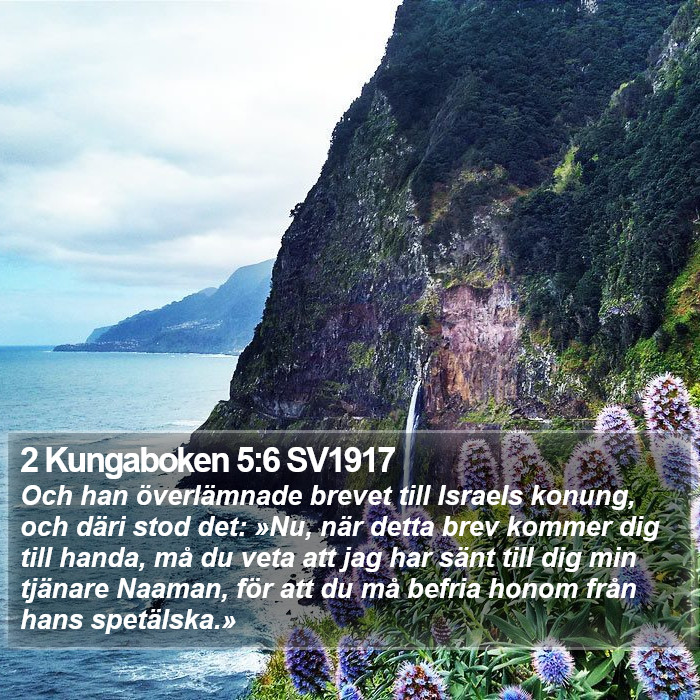 2 Kungaboken 5:6 SV1917 Bible Study