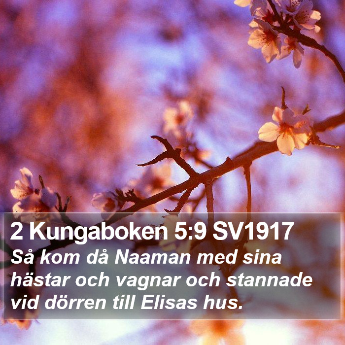 2 Kungaboken 5:9 SV1917 Bible Study