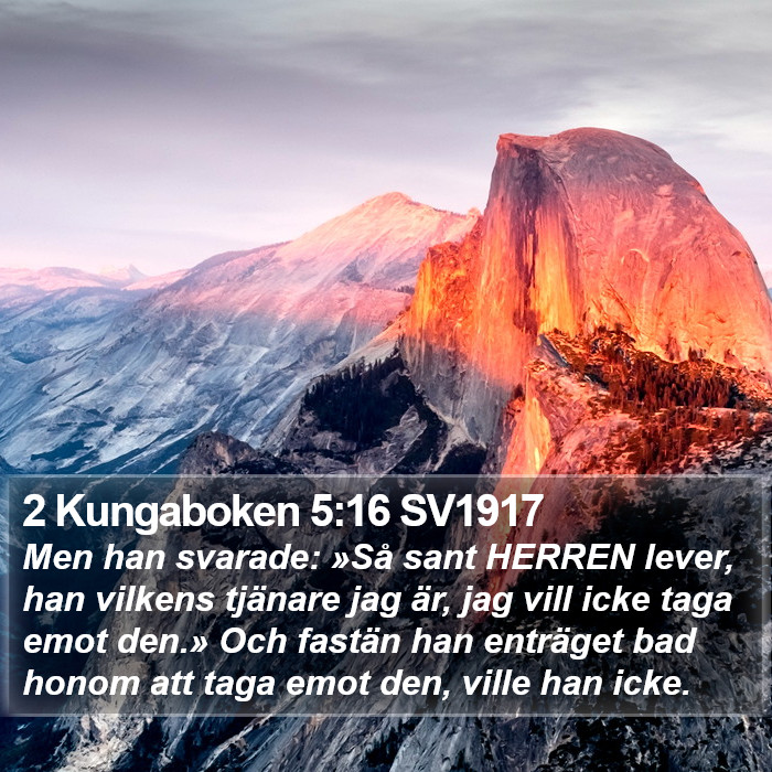 2 Kungaboken 5:16 SV1917 Bible Study