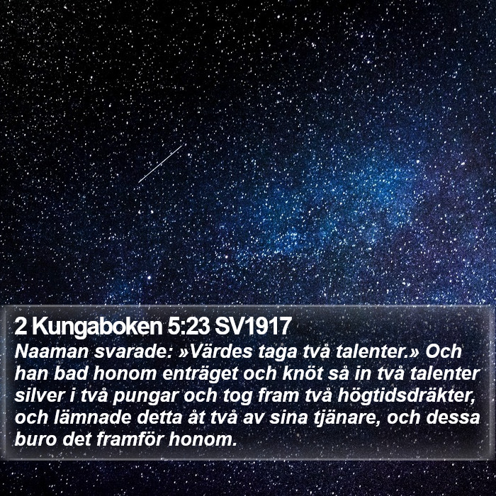 2 Kungaboken 5:23 SV1917 Bible Study