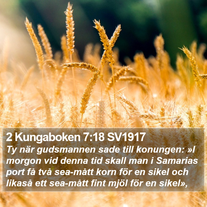 2 Kungaboken 7:18 SV1917 Bible Study