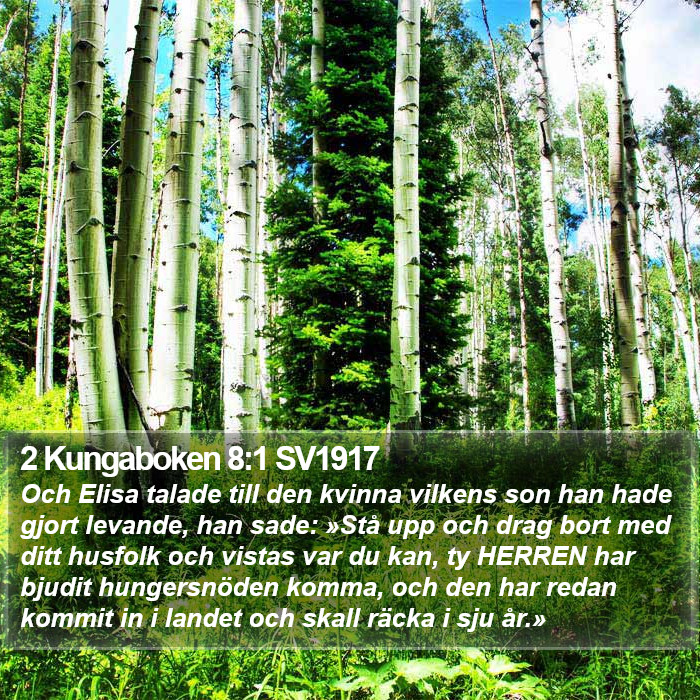 2 Kungaboken 8:1 SV1917 Bible Study