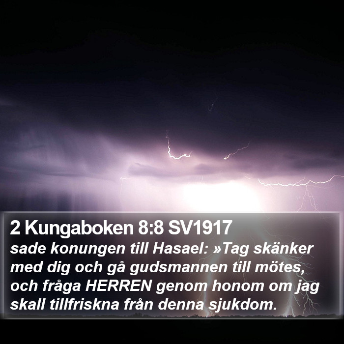 2 Kungaboken 8:8 SV1917 Bible Study