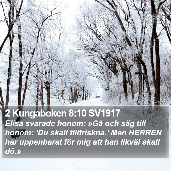 2 Kungaboken 8:10 SV1917 Bible Study