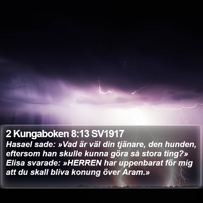 2 Kungaboken 8:13 SV1917 Bible Study