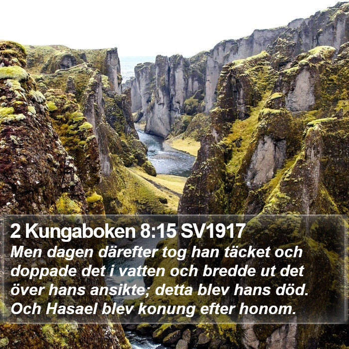 2 Kungaboken 8:15 SV1917 Bible Study