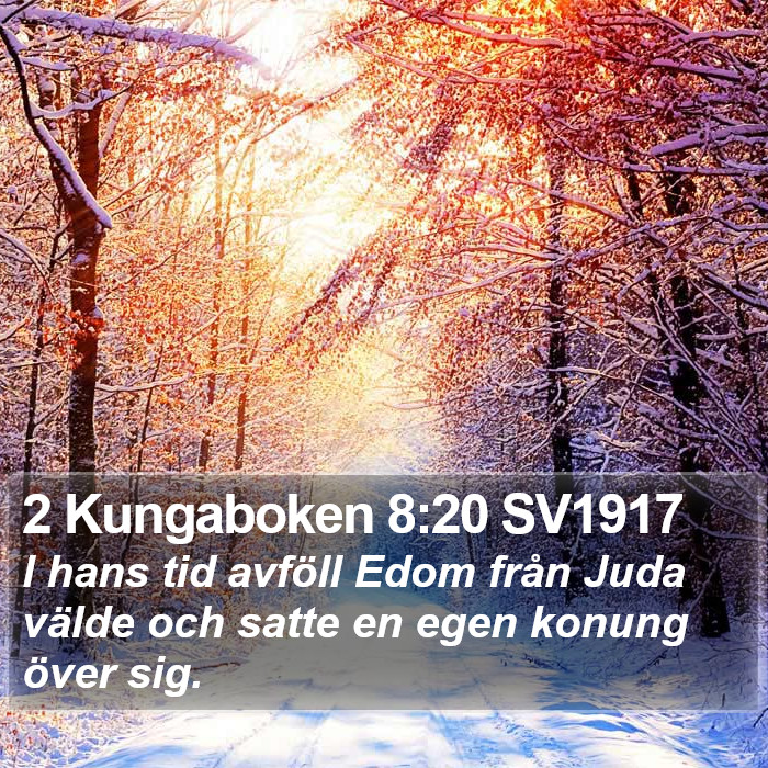 2 Kungaboken 8:20 SV1917 Bible Study