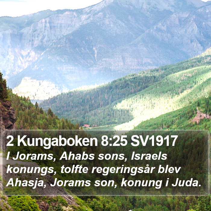2 Kungaboken 8:25 SV1917 Bible Study