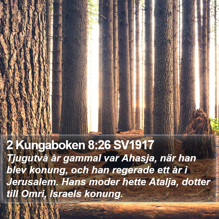 2 Kungaboken 8:26 SV1917 Bible Study