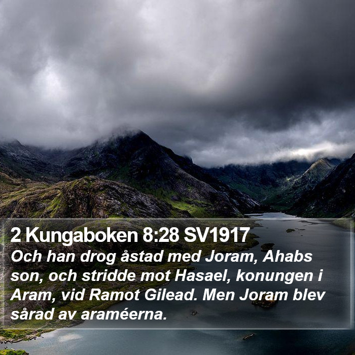 2 Kungaboken 8:28 SV1917 Bible Study