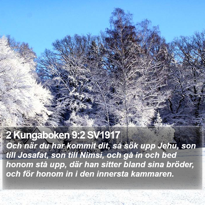 2 Kungaboken 9:2 SV1917 Bible Study