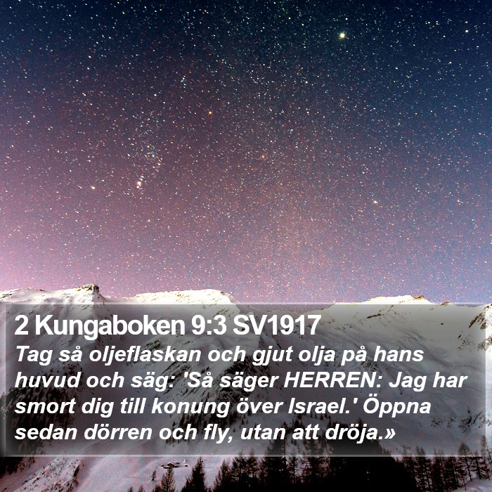 2 Kungaboken 9:3 SV1917 Bible Study
