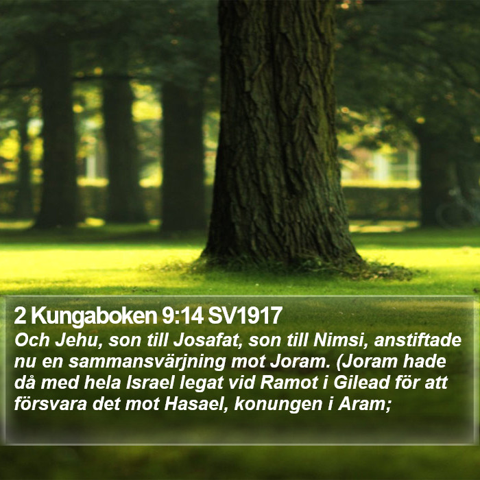 2 Kungaboken 9:14 SV1917 Bible Study