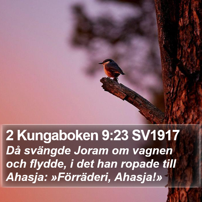 2 Kungaboken 9:23 SV1917 Bible Study
