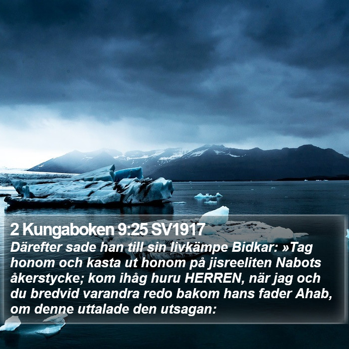 2 Kungaboken 9:25 SV1917 Bible Study