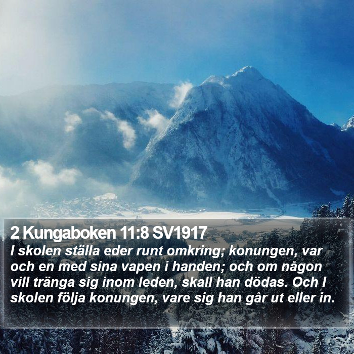 2 Kungaboken 11:8 SV1917 Bible Study