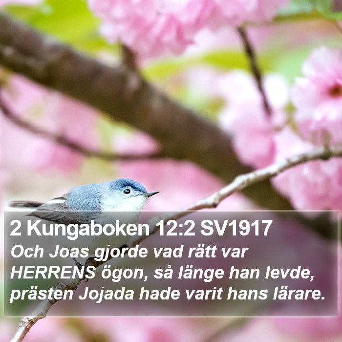 2 Kungaboken 12:2 SV1917 Bible Study