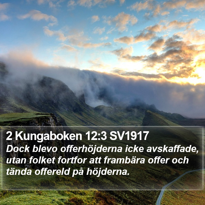 2 Kungaboken 12:3 SV1917 Bible Study