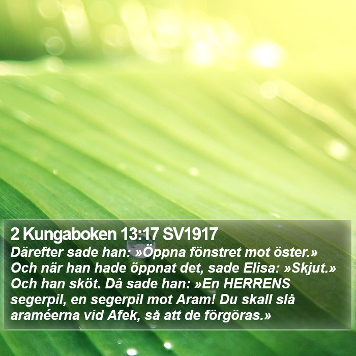 2 Kungaboken 13:17 SV1917 Bible Study