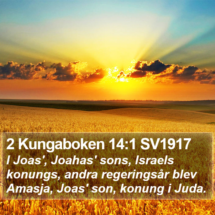 2 Kungaboken 14:1 SV1917 Bible Study