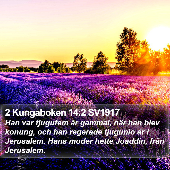 2 Kungaboken 14:2 SV1917 Bible Study