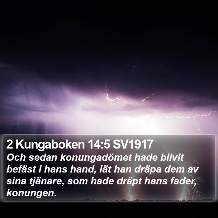 2 Kungaboken 14:5 SV1917 Bible Study