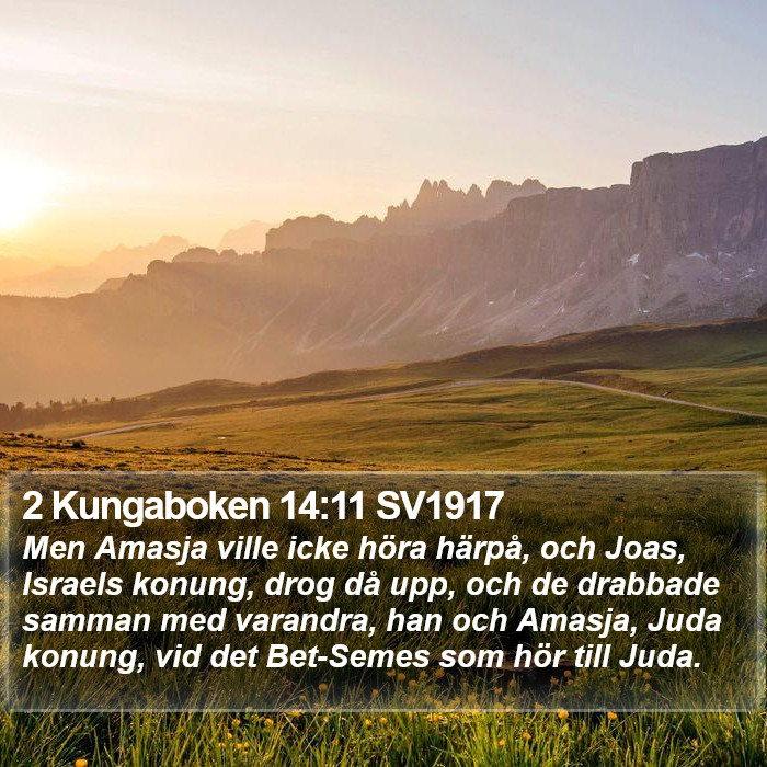 2 Kungaboken 14:11 SV1917 Bible Study