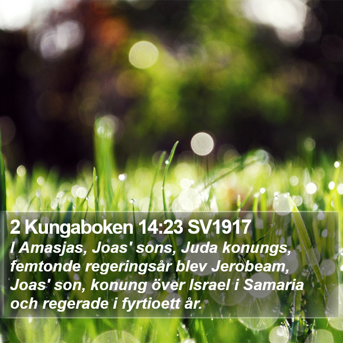 2 Kungaboken 14:23 SV1917 Bible Study