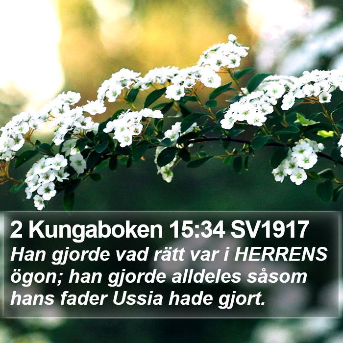 2 Kungaboken 15:34 SV1917 Bible Study