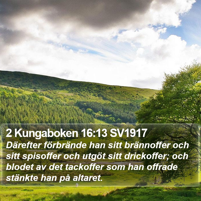 2 Kungaboken 16:13 SV1917 Bible Study