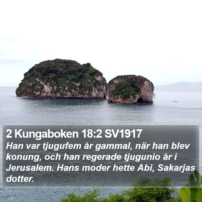 2 Kungaboken 18:2 SV1917 Bible Study