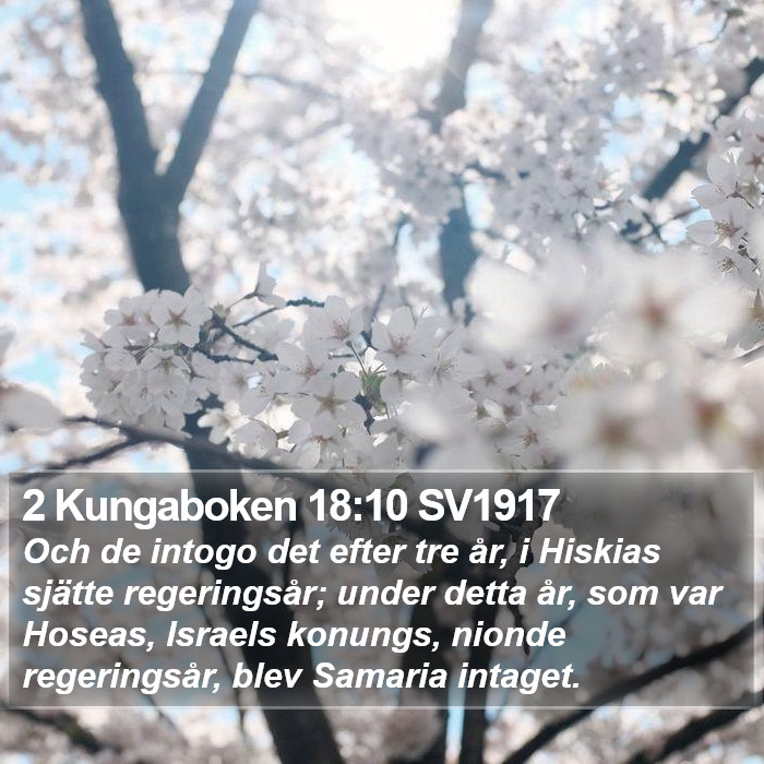 2 Kungaboken 18:10 SV1917 Bible Study