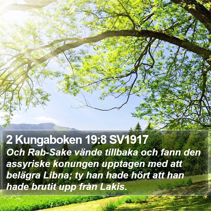 2 Kungaboken 19:8 SV1917 Bible Study
