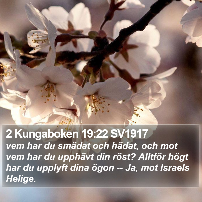 2 Kungaboken 19:22 SV1917 Bible Study
