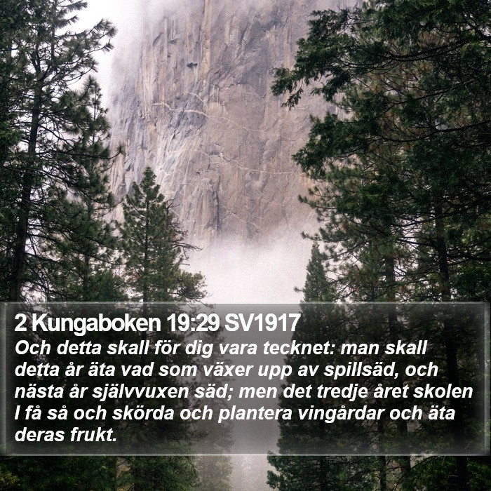 2 Kungaboken 19:29 SV1917 Bible Study