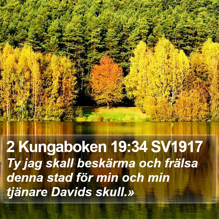2 Kungaboken 19:34 SV1917 Bible Study