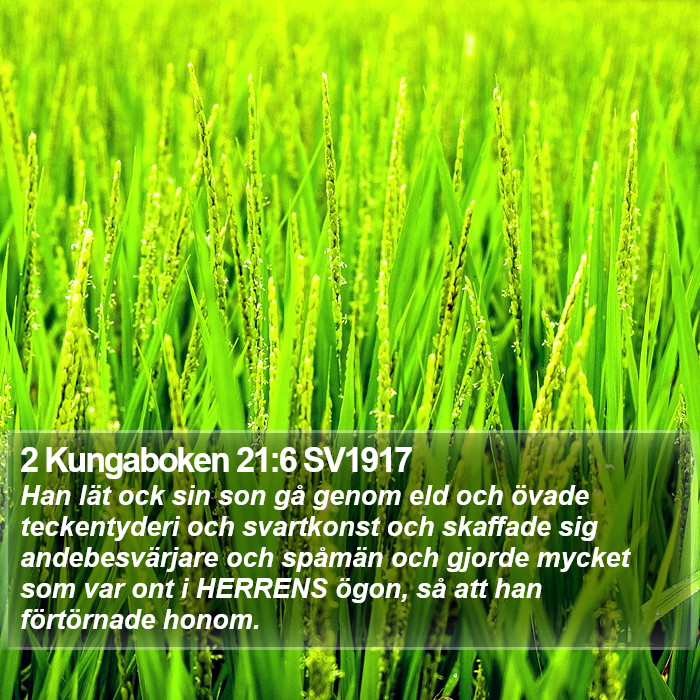 2 Kungaboken 21:6 SV1917 Bible Study