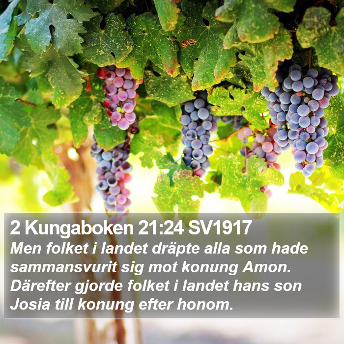 2 Kungaboken 21:24 SV1917 Bible Study