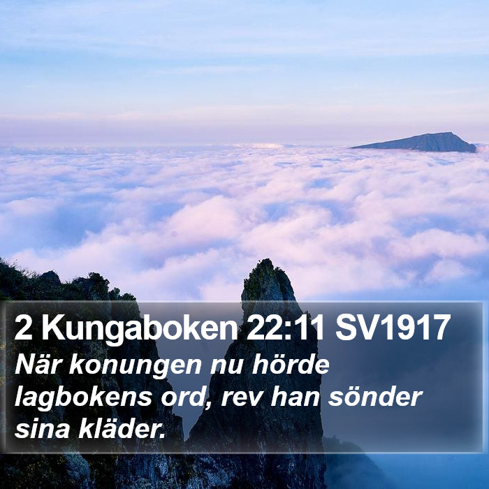 2 Kungaboken 22:11 SV1917 Bible Study