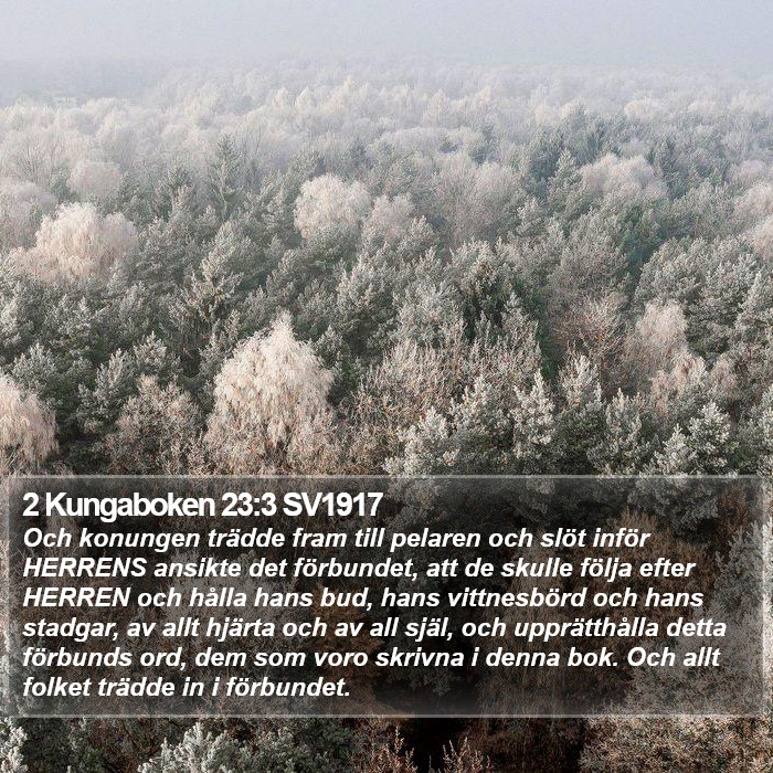 2 Kungaboken 23:3 SV1917 Bible Study
